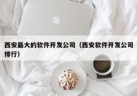 西安最大的软件开发公司（西安软件开发公司排行）