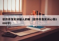 软件开发实训骗人的嘛（软件开发实训心得2000字）