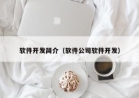 软件开发简介（软件公司软件开发）