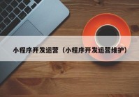 小程序开发运营（小程序开发运营维护）