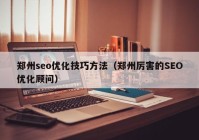 郑州seo优化技巧方法（郑州厉害的SEO优化顾问）